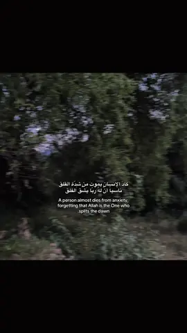 كادّ الإنسان يموت من شِدّة القلق ناسياً أنّ لهُ ربّا يَشُق الفلق #fyp #quran 