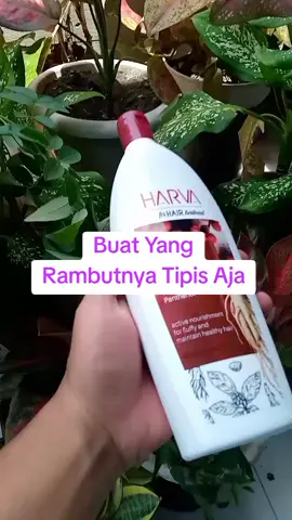 HARVA Shampoo Ginseng Soft & Smooth 600ML Shampoo Ginseng Anti Rontok | Rambut Halus, Lembut, dan Menutrisi dari Akar #harvashampooginseng #shampooginseng #rambutsehat #haircareroutine  #wibgajian 