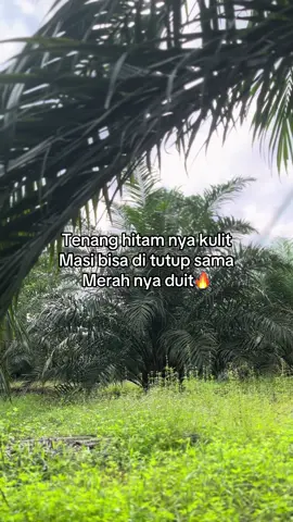 #munculberanda #fyppppppppppppppppppppppp #storysawit🌴🌴 