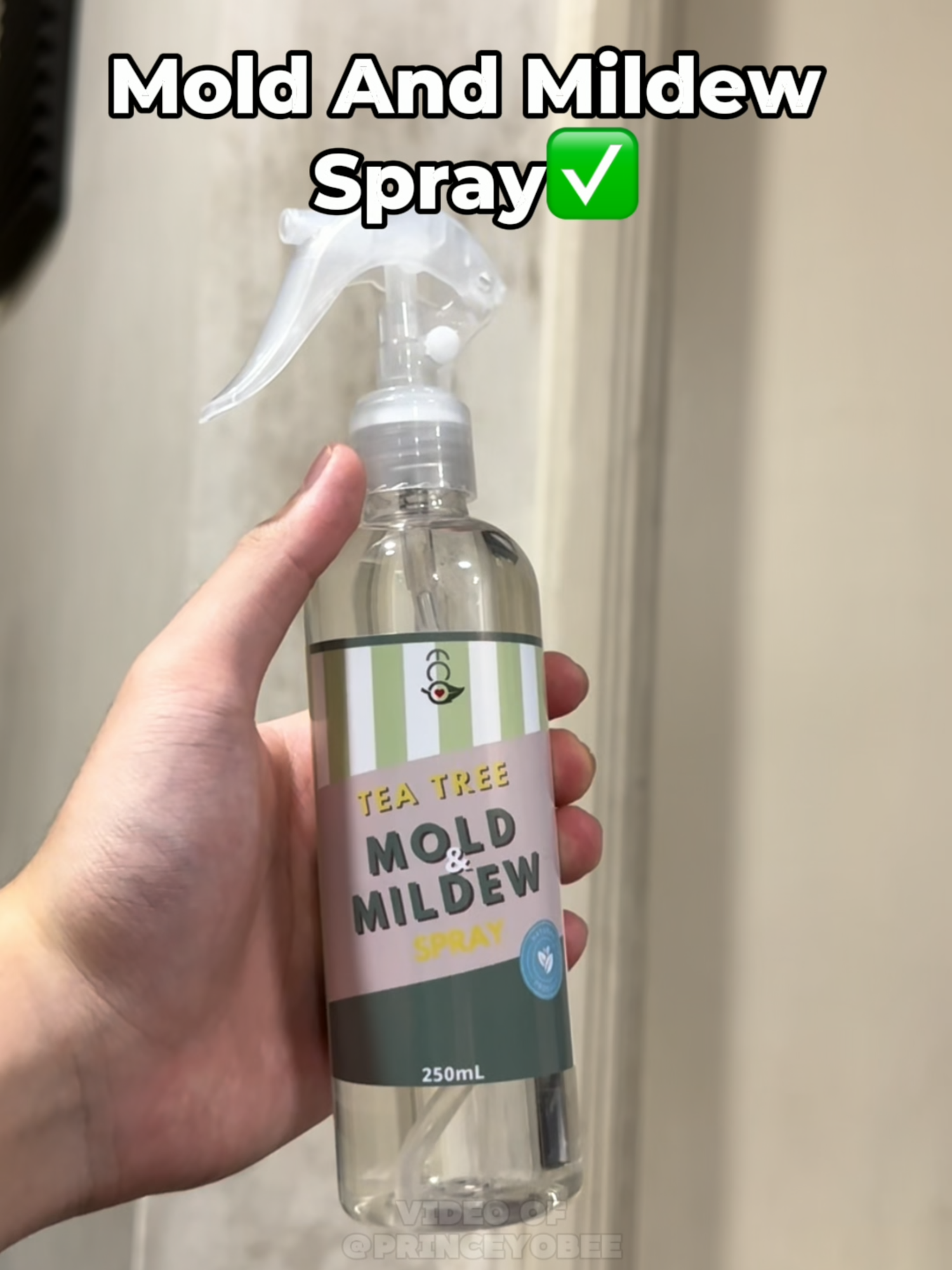Eco Premium Tea Tree Mold & Mildew Spray Mold Mildew Spray Mold Spray Mold Control Spray Household Cleaner #moldspray #moldproblem #householdcleaning #mildew