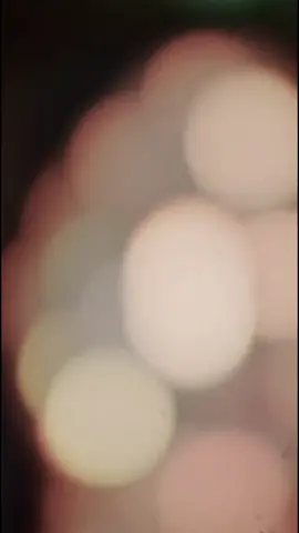 #fyppppppppppppppppppppppp #fyp #duet #foryou #fypage 