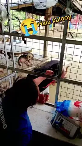 Kiểu bán hàng độc lạ…..