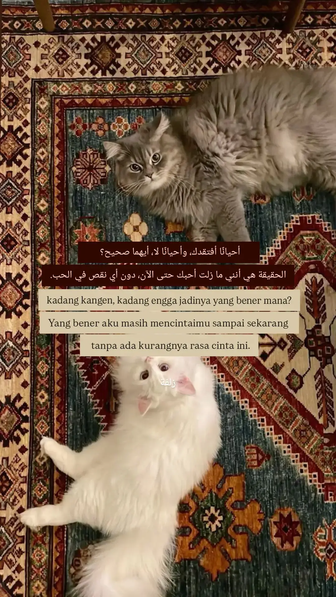 #fypage #quotesislamic 