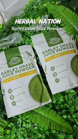 Herbal Nation Barley Grass Juice Powder #herbalnationbarleygrasspowder #barleygrasspowder #barleygrass #barley #herbalnation 