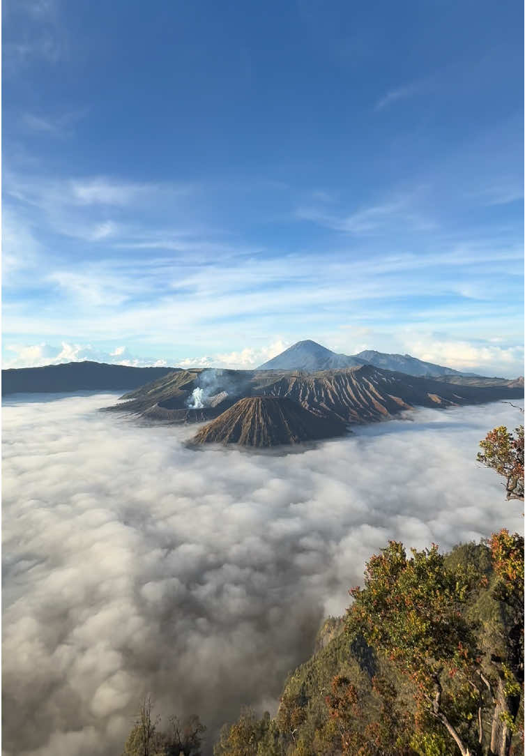 Bromo yang kayak gini yang kamu pengen bukan😋🙏🏻 Yakin gamau trip bromo with adam😍 Dm for trip and fotografer bromo🍃📸 #promomakan1010 #adambromo #fyp #bromo #fotografer 