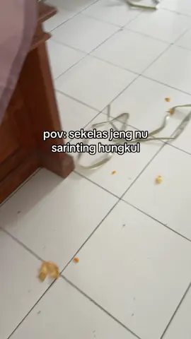 t daek meresan#sebelasempat  #fyp #kandangayam 