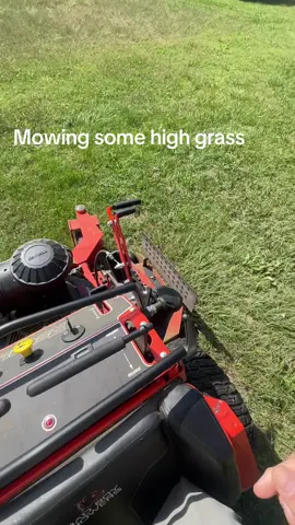 Part of the new property. #lawncare #lawntok  #lawntiktok  #lawnmowing 