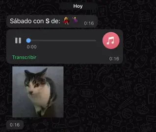 Sábado con S de: Si tú quieres bailar 💃🕺🏻 #paratiiiiiiiiiiiiiiiiiiiiiiiiiiiiiii #sabadoconsde #situquieresbailar #sabado #sopadecaracol 