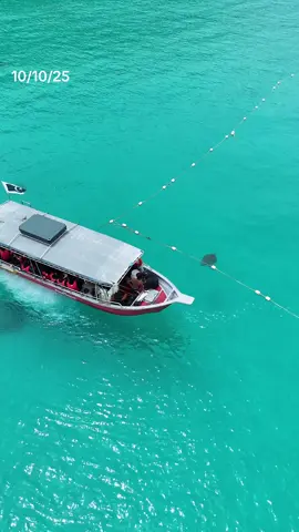 Laut yang cntik dan dipenuhi penyu.. dah lama dh gais. #pulauredang #turtle #boatman #guide #fyp 