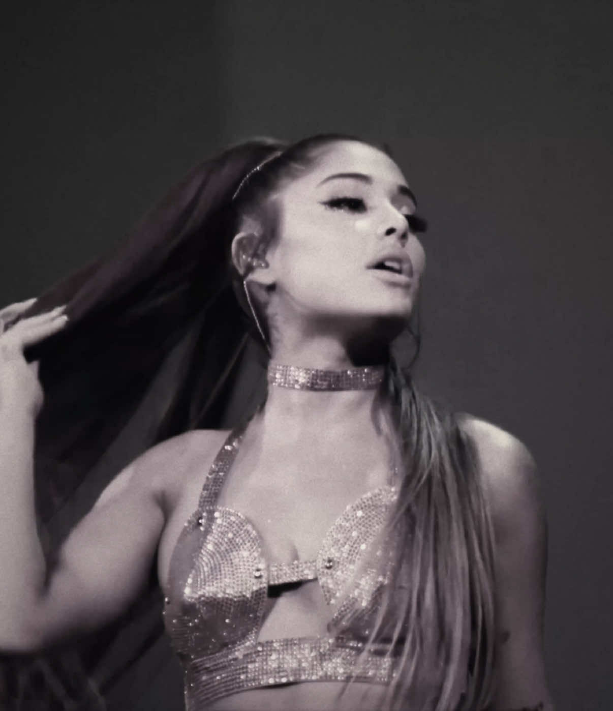 PITBULL TERRIER [ scp : buterascp scp , vsdt : @𝙨𝙤𝙮𝙚𝙧𝙭𝙤 ᥫ᭡. @♡ , cc : me] #arianagrande #arianator #arianagrandeedit #fyp #viral 