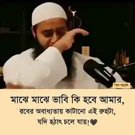 আল্লাহ_সবাইকে_বুঝার_তৌফিক_দান_করুন🤲 #❤️❤️❤️❤️ #🥰