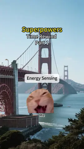 Time Rewind Part 1#catmeme #catsoftiktok #superpower #funnyvideos #fyp 