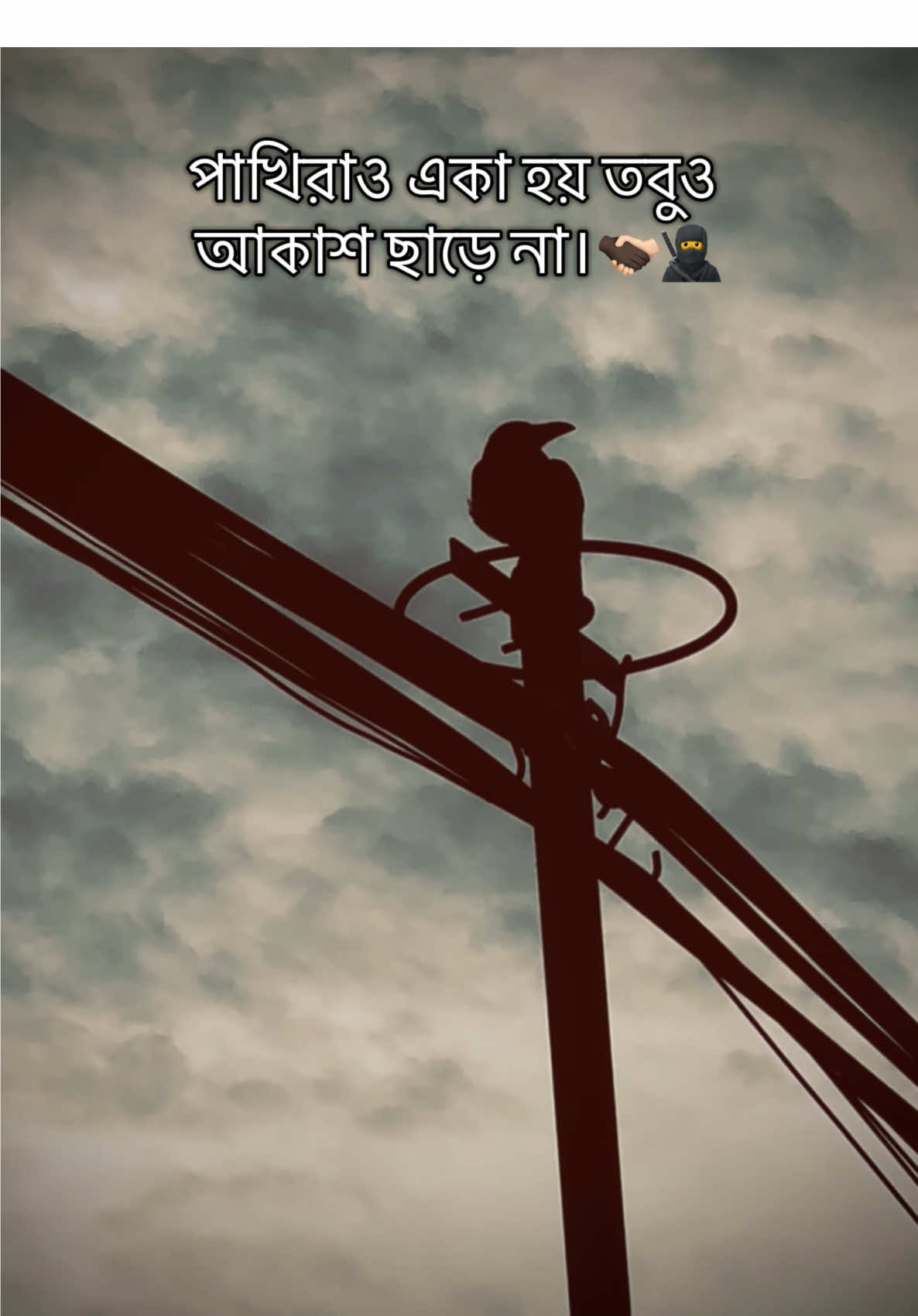 পাখিরাও একা হয় তবুও আকাশ ছাড়ে না।       #creatorsearchinsights #fyp #foryou #foryoupage #100kviews @For You @TikTok Bangladesh @TikTok 