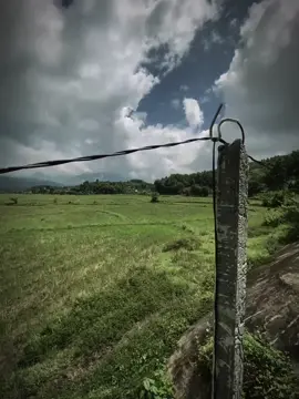 一分钟的相隔一万分钟的错过，一次的相遇一万次的梦想。 Một phút xa nhau vạn phút nhớ, một lần gặp gỡ vạn lần mơ.#cap #tamtrang #chill #minhlong0903_08 