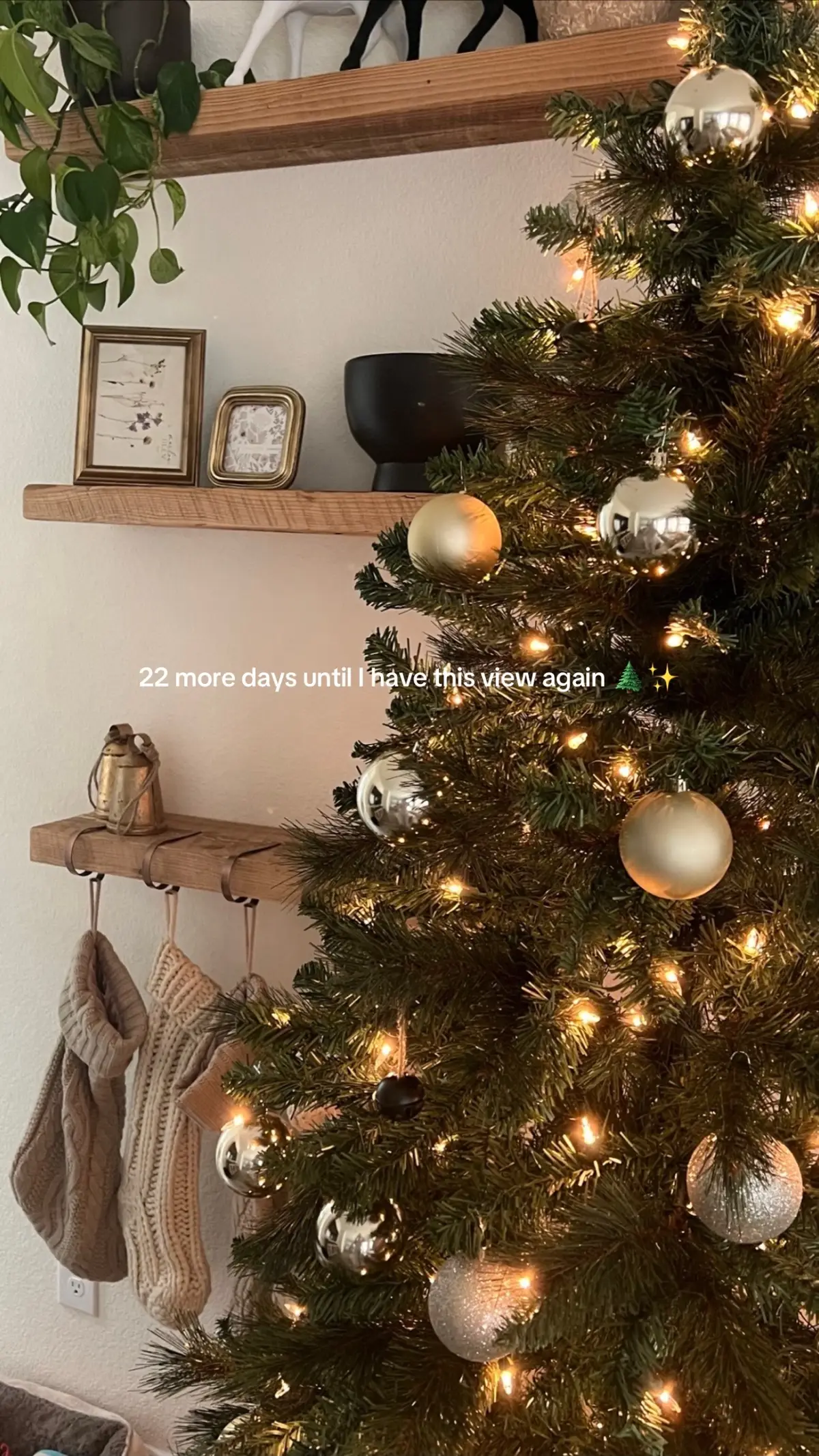 I’m sorry but I cannot WAIT for this. Best believe my decorations are going up November 1st 👏🏼✨ #christmasdecorideas #christmasdecor #christmastree #christmastok #holidaycountdown 