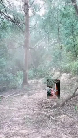#hindimakatama