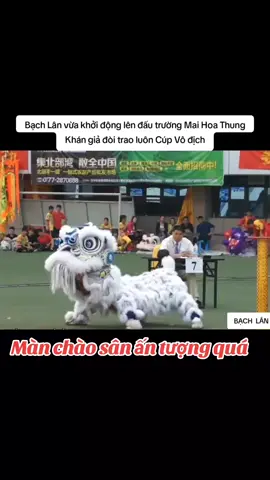 Xem múa lân bị nghiện là có thật xem hoài k chán #mualanhaynhatthegioi  #mualanhatnhat