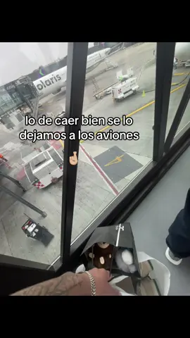 Así es.🧔🏻#fyp #tiktok #viral #dedicar #lol @ale ✰ 