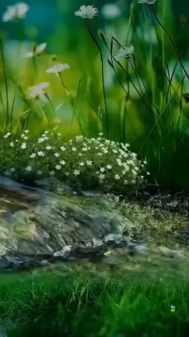 # اللهم صلِّ على محمد وآل محمد  #اكسبلورexplore 