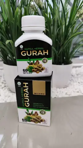 Merokok memang enak, tapi paru-parumu bayar mahal! 🚬 Saatnya bersihin dengan GURAH herbal alami kapsul praktis. 🌱 #gurah #herbalperokok #napaslega #herbalalami #sehatparuparu 