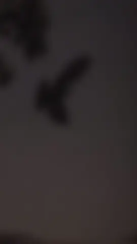 Sara log munafiq na ❤️‍🩹😢 #Repost ##growmyaccount✓ #pleaseunfreezmyacutA #urdupoetry #room @Tiktok PakistanOfficial