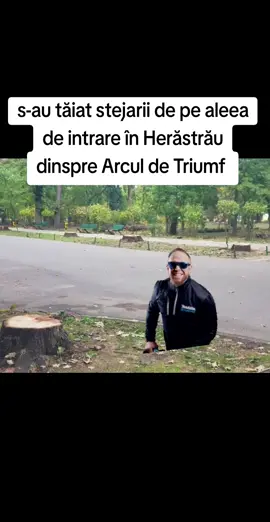 s-au tăiat stejarii de pe aleea de intrare în Herăstrău dinspre Arcul de Triumf  ➖️➖️➖️➖️➖️➖️➖️➖️ cum era partea aia cu toaletarea face bine arborilor?! 🔴🔴🔴 având in vedere că nu avem #RegistruVerde nu vom afla niciodată care au fost adevăratele motive care au dus la distrugerea unuia dintre cele mai emblematice elemente din Parcul Herăstrău, parc istoric de interes naţional