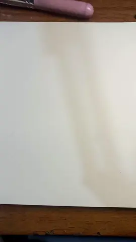 Kylie Padilla