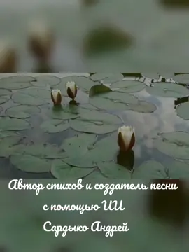 #белыелилиибелые