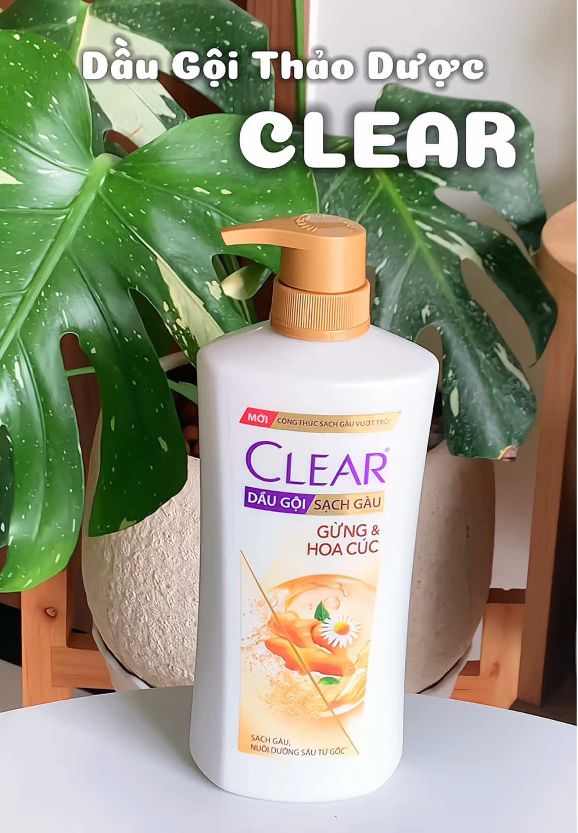 Dầu Gọi thảo mộc Clear Gừng & Hoa Cúc vừa thơm vừa nuôi dưỡng tóc bồng bềnh bóng mượt nha cả nhà ơi #hoptaccungunilever #daugoicleargunghoacuc #clear #daugoiclear #útmiềnđông @Unilever - Chăm Sóc Cá Nhân  @Út Miền Đông 🌵  @Út Miền Đông 🌵  @Út Miền Đông 🌵 