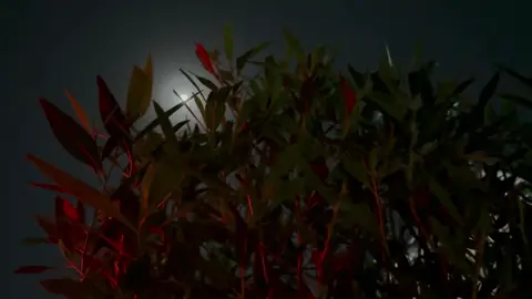 #fyp #fypシ #viral #foryoupage #capcut .