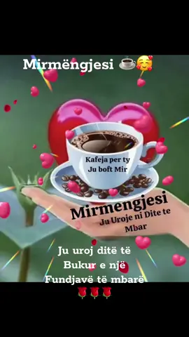 #mirmengjesishqipe🇦🇱🥰🇽🇰🙏 #gjyste65 