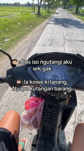 Kok medeni 