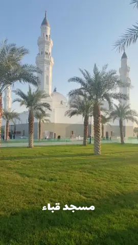 مسجد قباء المدينة المنورة #مسجد_قباء #المدينه_المنوره #اهل_المدينة #اماكن_المدينة 