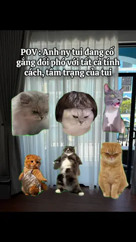 Thời tiết 24h 🥲🥲🥲 #xuhuong  #xuhuongtiktok  #homestaydoirong  #homestaydoson  #doirongdoson 