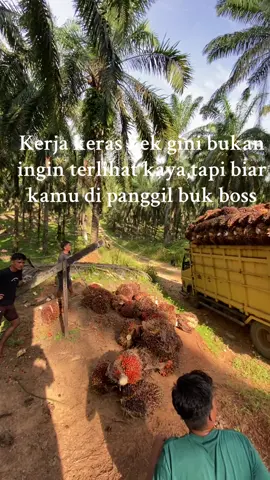 Bg yono mode on #fypシ #sawitriau #fyppppppppppppppppppppppp #sawitontiktok #petaniindonesia🇮🇩🇮🇩🇮🇩🌿🌿 @Cahyono 23 @sindibogen @Anjar Edo 