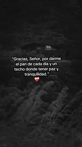 #GraciasSeñor #FeQueSostiene #PazInterior #TikTokCristiano #ReflexiónDiaria #OverlayEspiritual #ContenidoConPropósito 