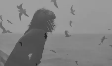 #حزن_غياب_وجع_فراق_دموع_خذلان_صدمة #شكثر_ما_عندج_من_سهام_لوحي #الشعب_الصيني_ماله_حل😂😂 #العراق🇮🇶❤️❤️❤️أحبكم💪🏻 #خوانه💔 