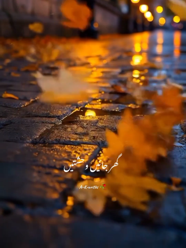 #barbi_rani #poetrystatus #foryoupage❤️❤️ #fyp #followers 