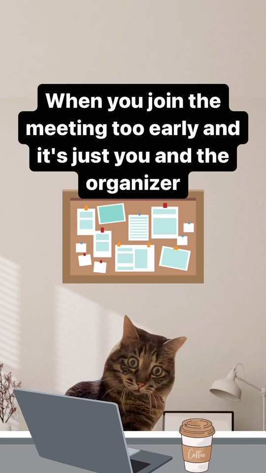 I swear this just happened to me 💀💀💀 #cats #funny #catmemes #workfromhome #vacation 