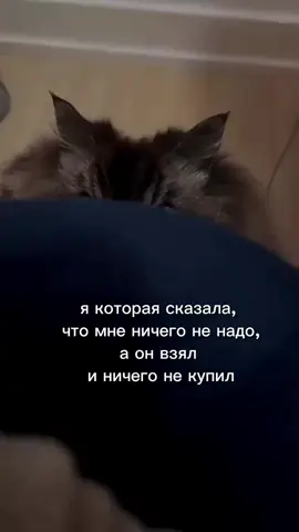 #взгляд 