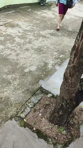 shop bán quần mà thấy video này thì liên lạc với em hỗ trợ em 10.000đ uống nước chứ em khô hết họng rồi 😆
