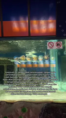 #fyp #masukberanda #xybca 