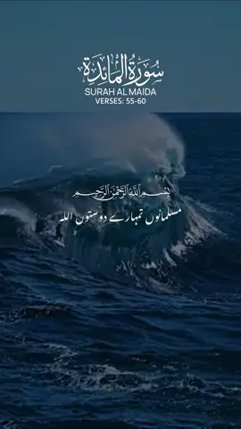SURAH AL MAIDAH🌹VERSES:55-60🌼#foryoupage❤️❤️ #islamicvideos #quranurdutranslation #unfreezemyaccount #surahalmaidah