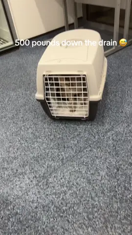 Glad he’s okay though 😅❤️