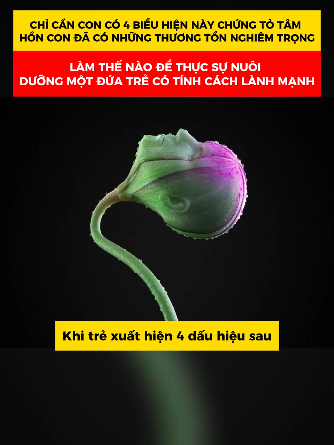 Bộ truyện tranh tâm lý hài hước Đây là người bạn đồng hành động cần thiết trong quá trình phát triển của mỗi trẻ nhỏ, vì nó phản ánh đúng những vấn đề thực tế mà trẻ em phải, đồng thời đưa ra giải pháp và định hướng tích cực cho trẻ. #tamlyhocsinhtieuhoc #tienphongbooks #nuoidaycon #sachthieunhi