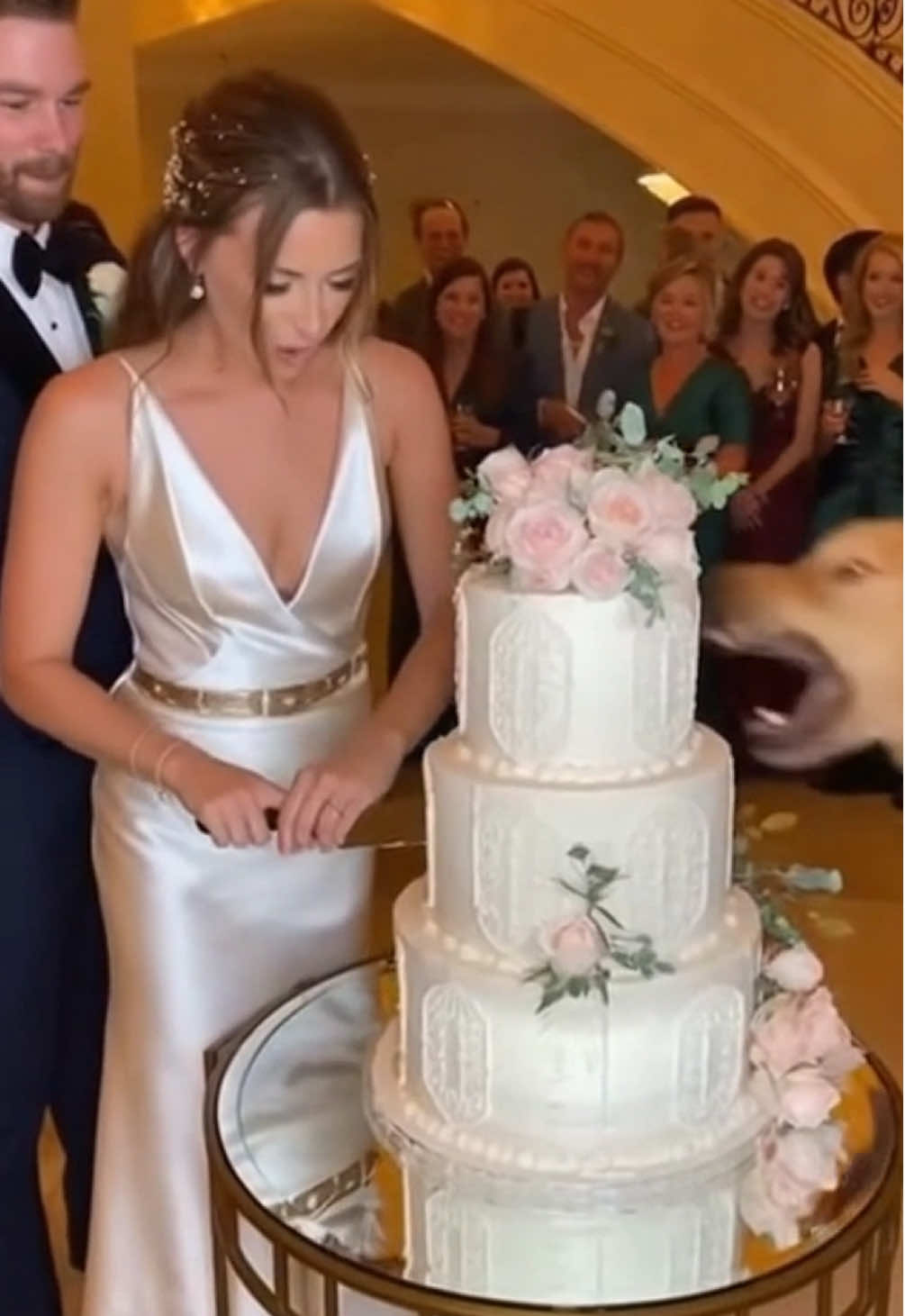Bailey! The cake! 🐶 #doggo #petsontiktok #petlovers #dogtok #weddingcake 