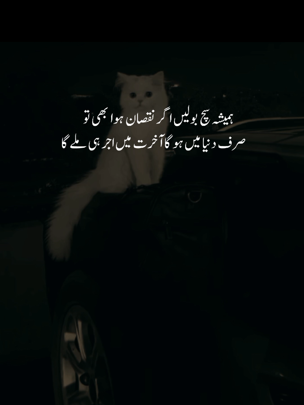 ہمیشہ سچ بولیں اگر نقصان ہوا بھی تو صرف دنیا میں ہو گا آخرت میں اجر ہی ملے گا #fyp #foryoupage❤️❤️ #fypシ゚ #poetrystatus #shayerana_dil 