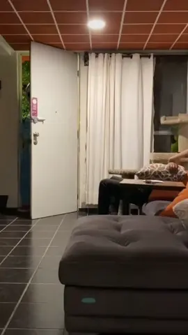 Final inesperado 😧🤣 #vochoamarillo 