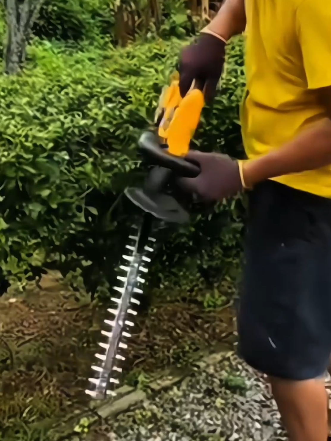 KEELAT Cordless Hedge Trimmer 20 in with Battery Electric Shrub Grass Trimmer Pruning Saw Garden Tools Trim Pokok Taman  #CordlessTrimmer #AlatTaman #PemangkasPokok #GardenCare #fypシ゚ 