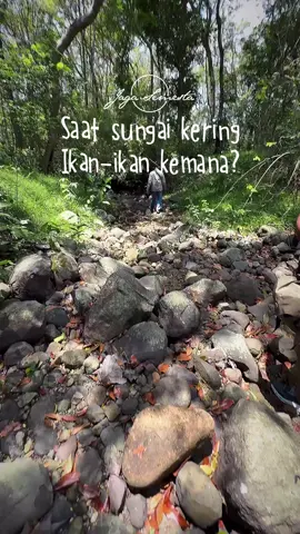 Ikan endemik di sungai intermitten atau musiman punya cara luar biasa untuk bertahan. Sebagian bersembunyi di lubang tanah yang masih lembap, di mata air kecil, atau lapisan air bawah tanah yang tersisa. Ada juga yang telurnya bisa bertahan berbulan-bulan di dasar sungai yang kering, menunggu hujan datang kembali. Mereka adalah penanda keseimbangan alam dan bagian penting dari ekosistem air yang bergantung pada siklus musim. Sungai mungkin mengering, tetapi kehidupan di dalamnya tidak benar-benar hilang, hanya menunggu waktu untuk kembali. Di musim kering panjang, kita bisa membantu dengan menjaga sumber air kecil di sekitar, tidak membuang limbah ke sungai, dan menanam vegetasi di tepi aliran agar air tetap tertahan lebih lama.